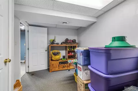 3981 Plass Rd, Festus, MO 63028 photo 35
