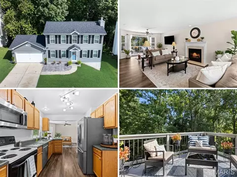 1313 Rockwood Forest Dr, Arnold, MO 63010