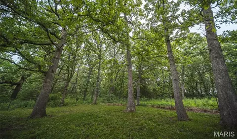 11320 County Road 2140, Rolla, MO 65401 photo 66