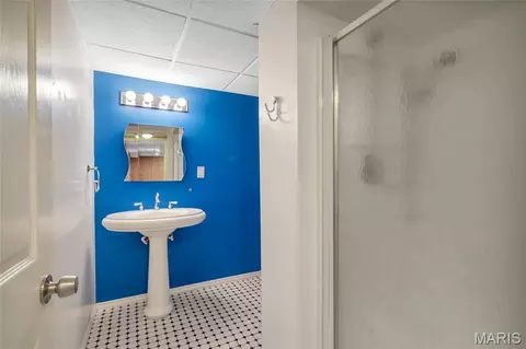 Bath - 501 Echo Hill Ct, Ballwin, MO 63021 photo 3 of 4