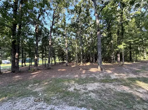 Exterior - 10231 Old 8 D, Mineral Point, MO 63660 photo 35 of 38