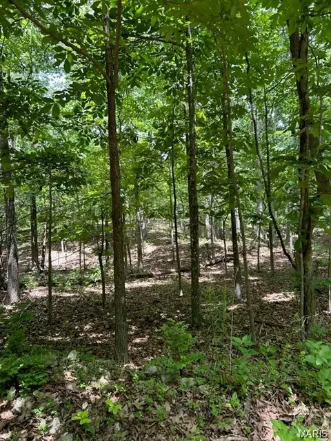 0 Hargrove Rd, Dixon, MO 65584 photo 5