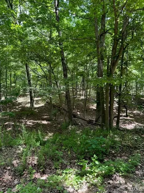 0 Hargrove Rd, Dixon, MO 65584 photo 1