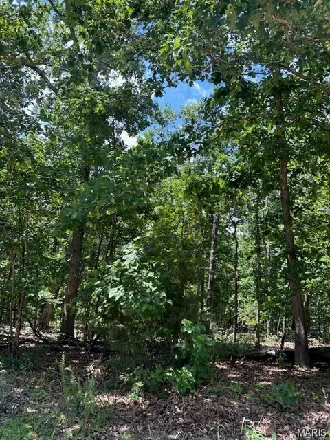 0 Hargrove Rd, Dixon, MO 65584 photo 7