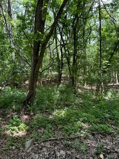 0 Hargrove Rd, Dixon, MO 65584 photo 6
