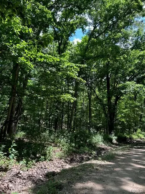 0 Hargrove Rd, Dixon, MO 65584 photo 3