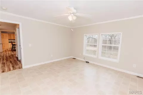 Other - 215 E 5th St, Dixon, MO 65459 photo 16 of 22