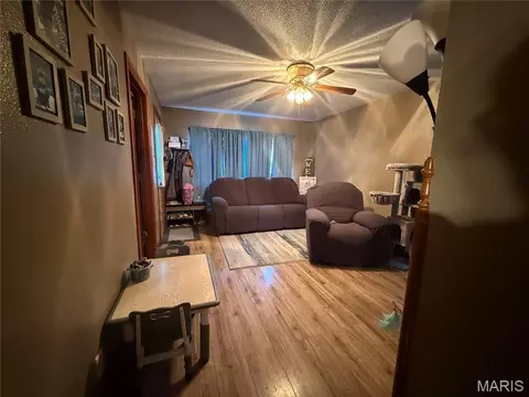 Living - 411 E Chestnut, Gillespie, IL 62033 photo 1 of 1