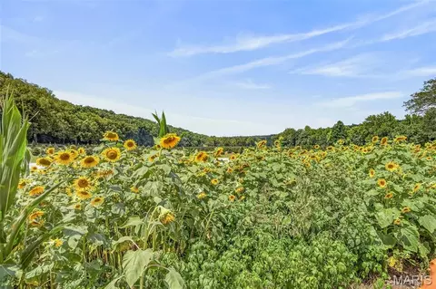 Other - 14560 Dry Fork Rd, Festus, MO 63028 photo 16 of 37