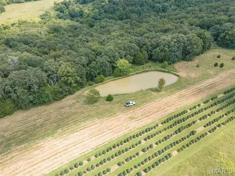 View/Area - 14560 Dry Fork Rd, Festus, MO 63028 photo 1 of 1