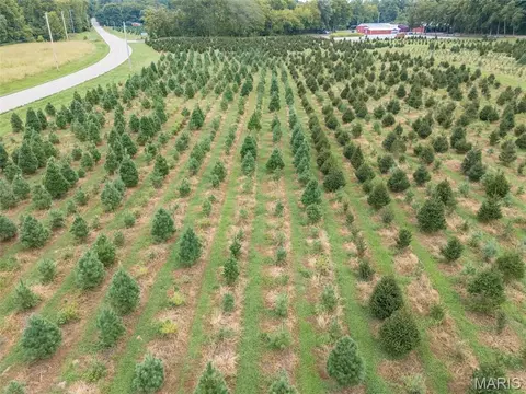 Other - 14560 Dry Fork Rd, Festus, MO 63028 photo 15 of 37