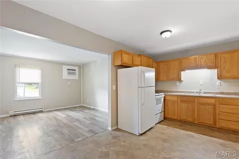 Other - 560 E Cherry St, Troy, MO 63379 photo 8 of 16