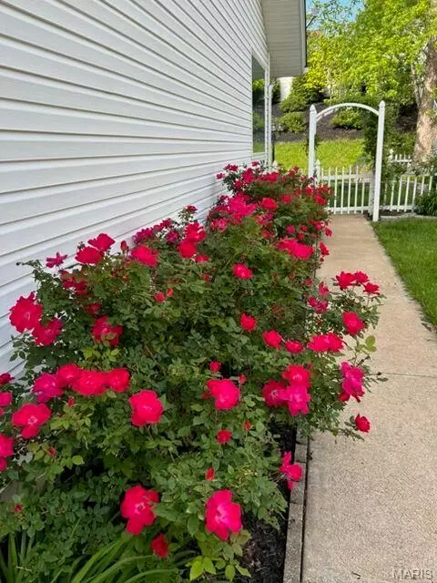 Other - 436 White Chapel Dr, O'fallon, MO 63368 photo 15 of 16