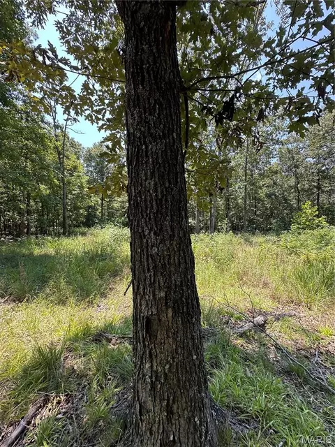 Other - 2419 Bb Hwy, Fairdealing, MO 63939 photo 14 of 22