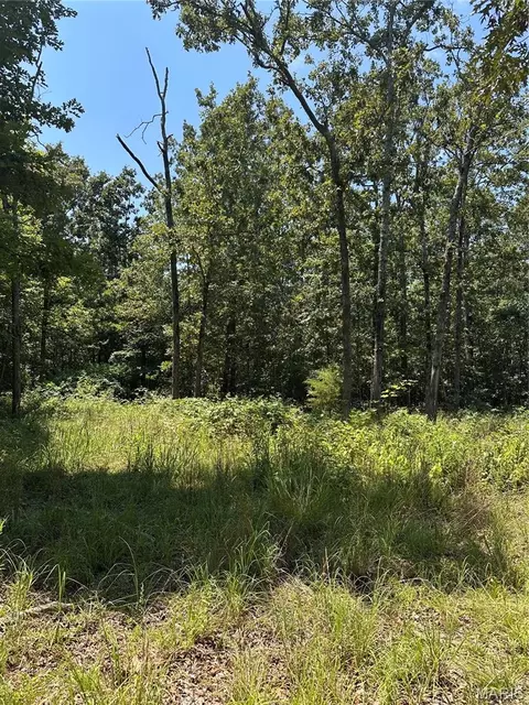 Other - 2419 Bb Hwy, Fairdealing, MO 63939 photo 12 of 22