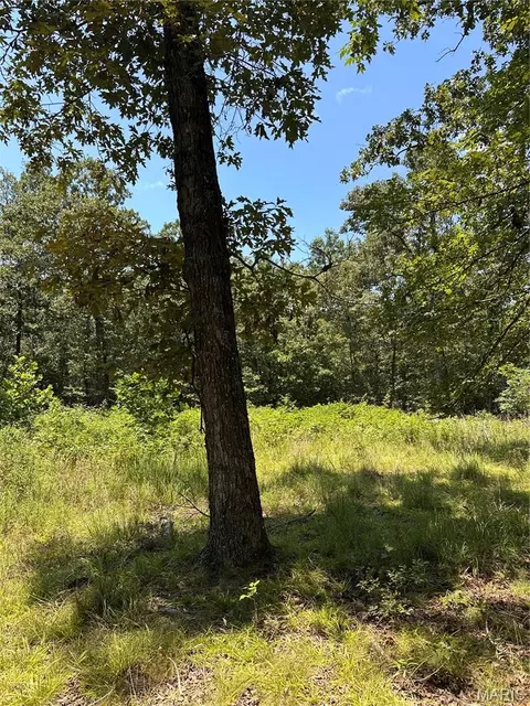 Other - 2419 Bb Hwy, Fairdealing, MO 63939 photo 13 of 22