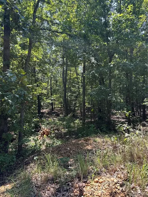 Other - 2419 Bb Hwy, Fairdealing, MO 63939 photo 22 of 22