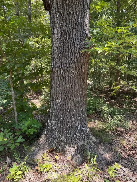 Other - 2419 Bb Hwy, Fairdealing, MO 63939 photo 21 of 22