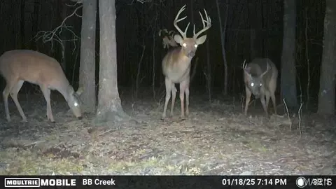 Other - 2419 Bb Hwy, Fairdealing, MO 63939 photo 5 of 22