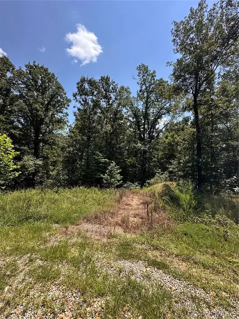 Other - 2419 Bb Hwy, Fairdealing, MO 63939 photo 17 of 22
