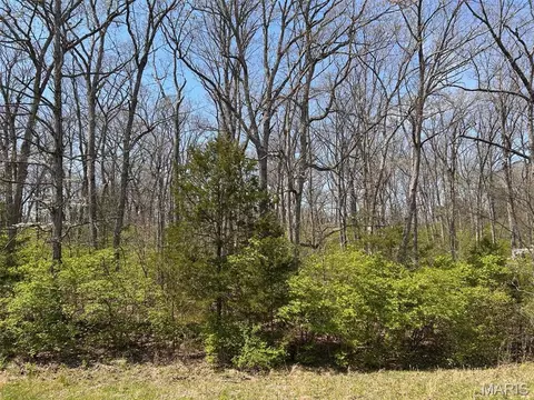 0 Elm Ave, Foristell, MO 63348 photo 10
