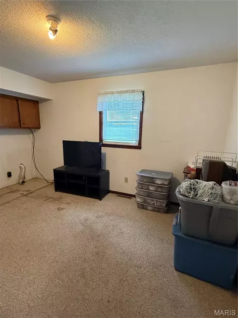 Other - 12376 Biram Dr, Plato, MO 65552 photo 4 of 13