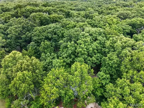 View/Area - 23443 Forest Haven Dr, Wright City, MO 63390 photo 8 of 12