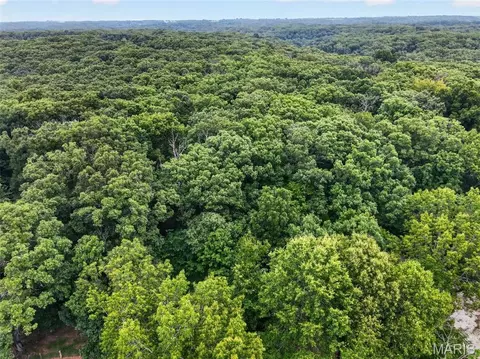 Other - 23443 Forest Haven Dr, Wright City, MO 63390 photo 22 of 23
