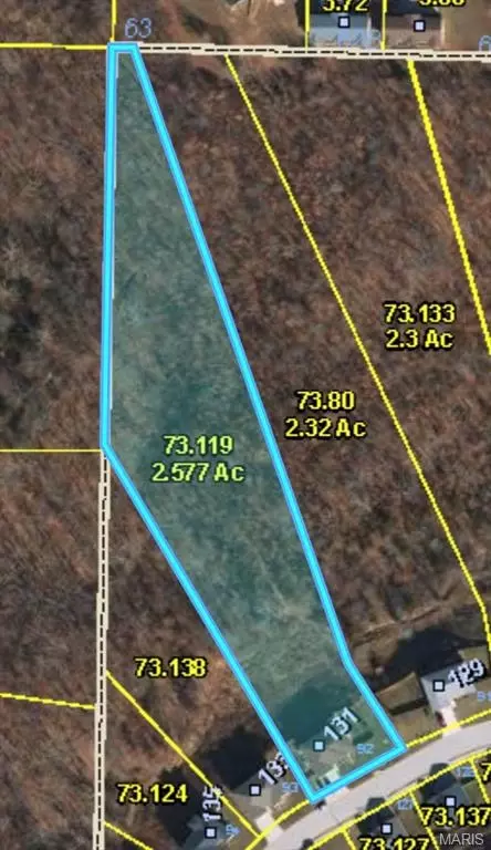 Other - 131 Creek View Dr, Saint Robert, MO 65584 photo 21 of 21