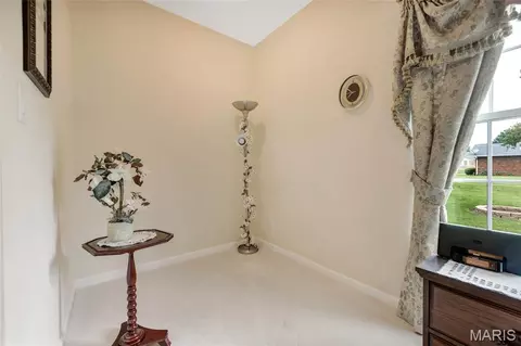 Other - 401 Briarcliff Dr, Waterloo, IL 62298 photo 8 of 18