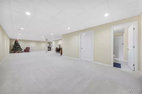 Other - 401 Briarcliff Dr, Waterloo, IL 62298 photo 14 of 18