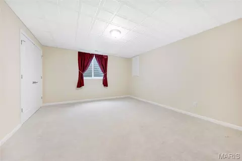 Other - 401 Briarcliff Dr, Waterloo, IL 62298 photo 15 of 18
