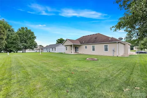 Exterior - 401 Briarcliff Dr, Waterloo, IL 62298 photo 6 of 10