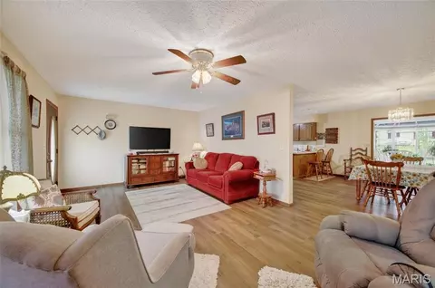 Other - 101 S Locust St, Dixon, MO 65459 photo 5 of 14