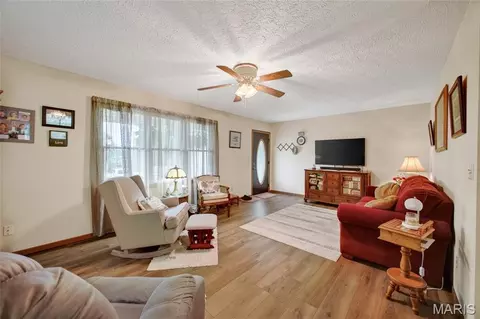 Other - 101 S Locust St, Dixon, MO 65459 photo 4 of 14