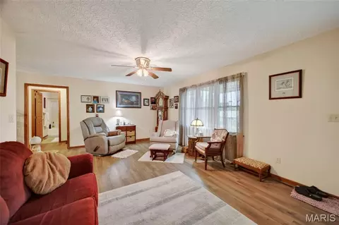 Other - 101 S Locust St, Dixon, MO 65459 photo 3 of 14