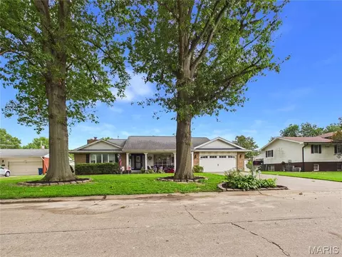 Exterior - 606 Sheridan Dr, Chaffee, MO 63740 photo 6 of 15
