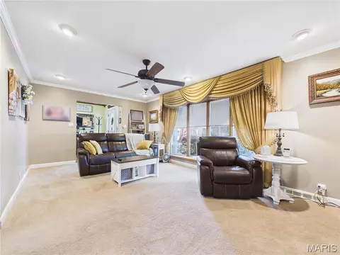 Other - 606 Sheridan Dr, Chaffee, MO 63740 photo 4 of 6