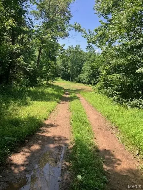 250 Madison Cr 410, Fredericktown, MO 63645