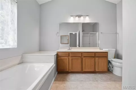 Bath - 420 Bittersweet Dr, O'fallon, MO 63366 photo 2 of 3