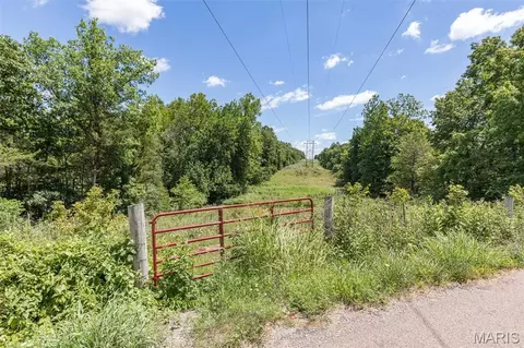 1175 Three Rivers Rd, Farmington, MO 63640