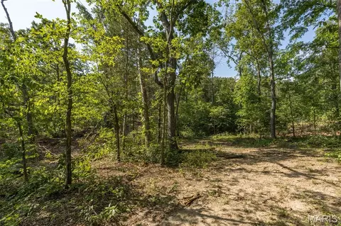 Exterior - 10179 Vine Rd, Cadet, MO 63630 photo 11 of 12