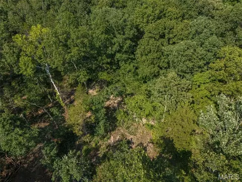 Other - 10179 Vine Rd, Cadet, MO 63630 photo 22 of 23