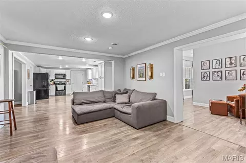 Entry Way - 10179 Vine Rd, Cadet, MO 63630 photo 4 of 4