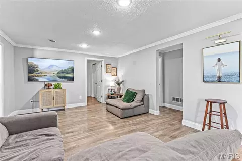 Other - 10179 Vine Rd, Cadet, MO 63630 photo 8 of 23