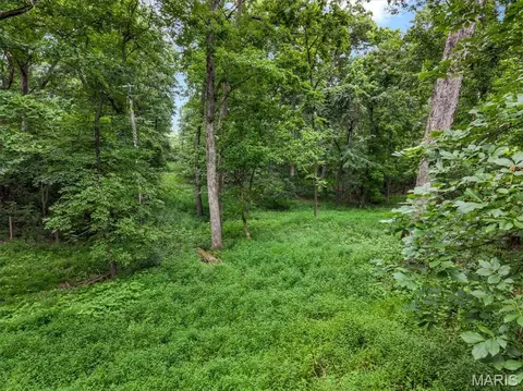 Exterior - 436 Shadowridge Ct, Ballwin, MO 63011 photo 19 of 21