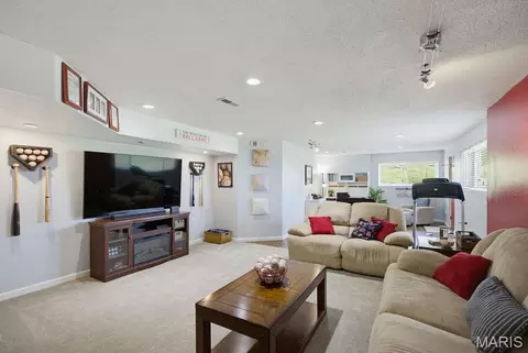 Living - 136 Raspberry Ln, Jackson, MO 63755 photo 3 of 3