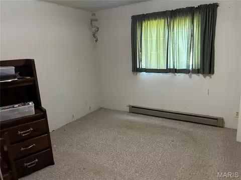 455 E 2590 Ave, Ramsey, IL 62080 photo 18