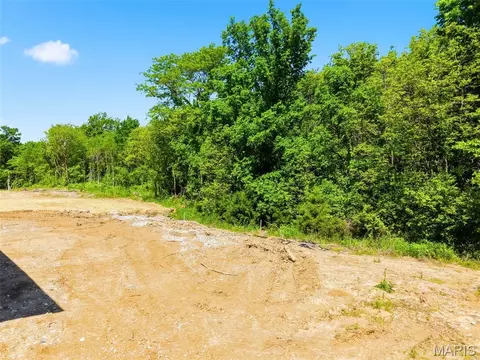 Exterior - 1021 Samwise St, Wright City, MO 63390 photo 5 of 13