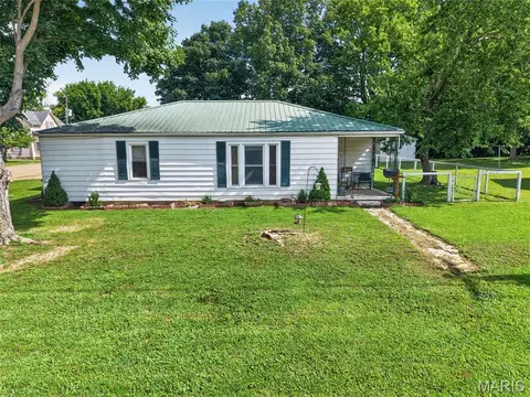 Exterior - 308 Thost St, Fredericktown, MO 63645 photo 6 of 11